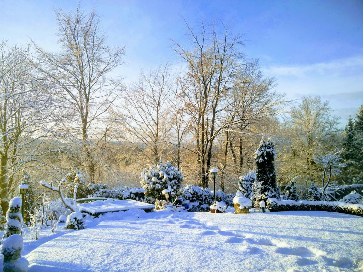Bed And Breakfast Am Hoehenweg Warstein Exteriör bild